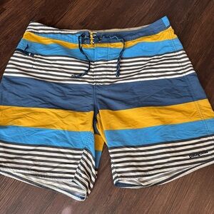 Patagonia Board Shorts Men 38 Colorful Striped Swim Trunks Hiking Beach Logo